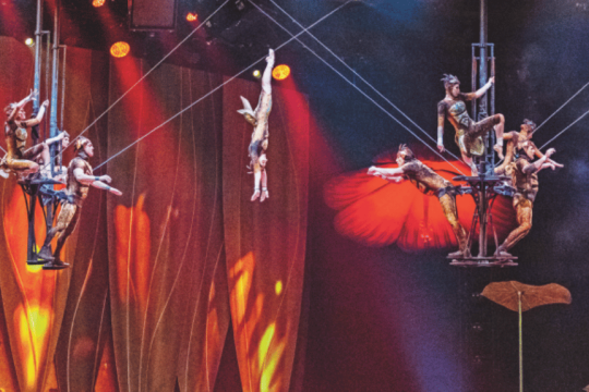 Cirque du Soleil, «OVO»